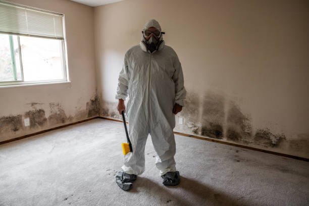 Best Post-Flood Mold Remediation in Oakland, NJ